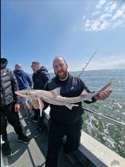 6 lb Smooth-hound by Dan the man