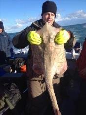 15 lb Undulate Ray by Unknown