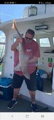 11 lb Smooth-hound by Dave Cullen