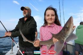 5 lb Starry Smooth-hound by Lilly