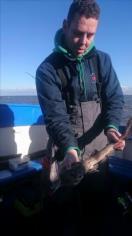 2 lb 8 oz Lesser Spotted Dogfish by Unknown