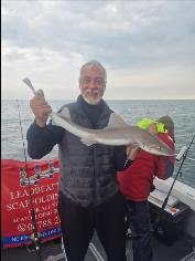 7 lb Smooth-hound by Andreas