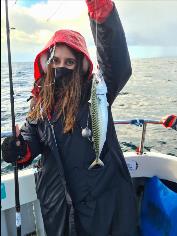 1 lb Mackerel by Melika