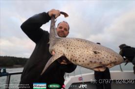 7 lb Bull Huss by Rich