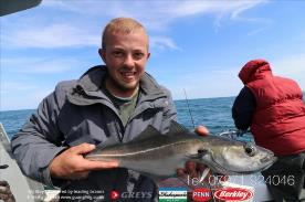 4 lb Coalfish (Coley/Saithe) by Carlos
