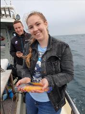 1 lb Cuckoo Wrasse by Unknown