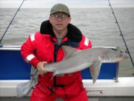 16 lb Smooth-hound (Common) by Chris Roots