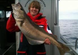 17 lb 9 oz Pollock by Connor Bonwick