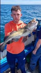 6 lb Cod by Unknown