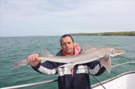 8 lb Starry Smooth-hound by Barry