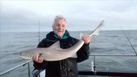 2 oz Smooth-hound by Unknown