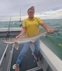 6 lb 4 oz Smooth-hound by Dawn