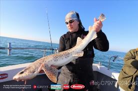 10 lb Bull Huss by Peter