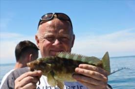 1 lb Ballan Wrasse by Curly