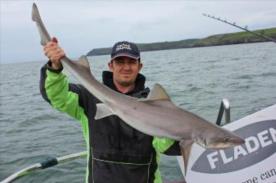 16 lb Starry Smooth-hound by Dan