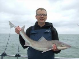 2 oz Starry Smooth-hound by stephen