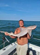 19 lb 5 oz Smooth-hound by Wayne Leadbetter