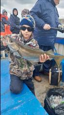 4 lb 1 oz Pollock by Unknown