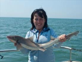 10 lb Smooth-hound by Cheryl Settle