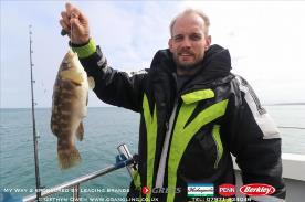 2 lb Ballan Wrasse by Mark