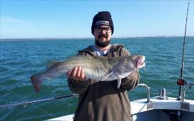 8 lb 8 oz Cod by Unknown