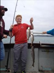 3 lb Pollock by Dylan the Champ