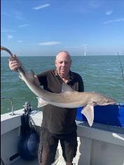 13 lb 6 oz Smooth-hound (Common) by Alphy
