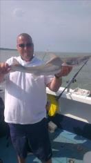 6 lb 1 oz Starry Smooth-hound by mike cox